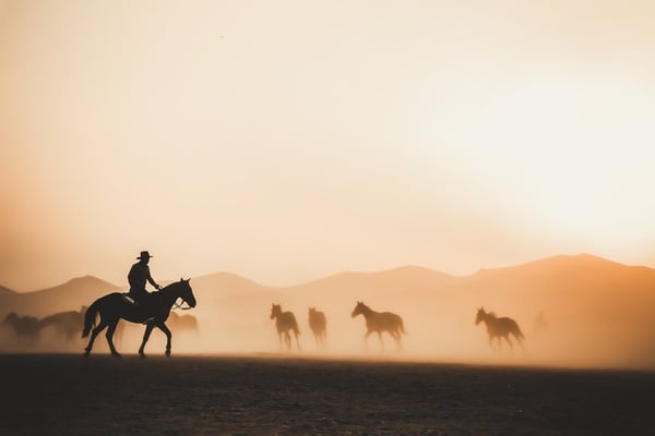 A cowboy herding horses in a dusty plain