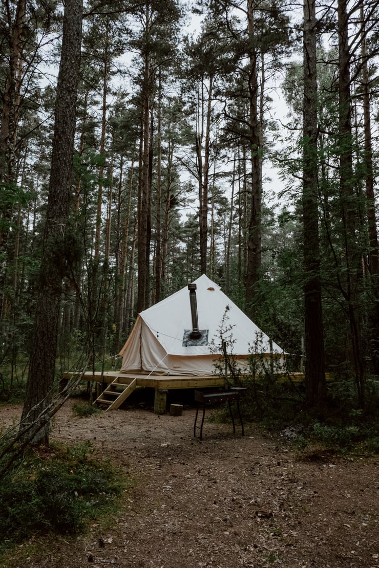 glamping tent in pine forest