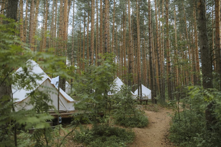 glamping tents in forest